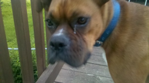 Rosco!