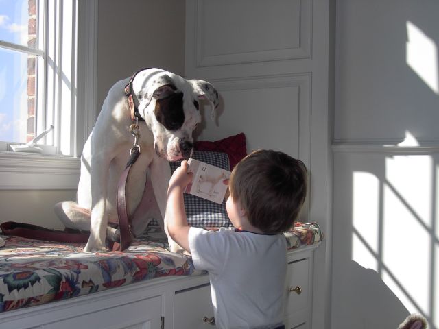 Roscoe, reading to my brother