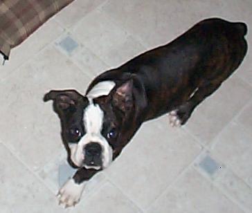 Roscoe