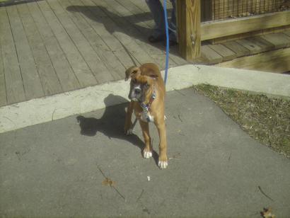 Roscoe's first trip