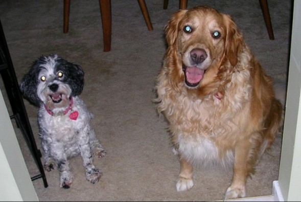 Rosie and Lucy