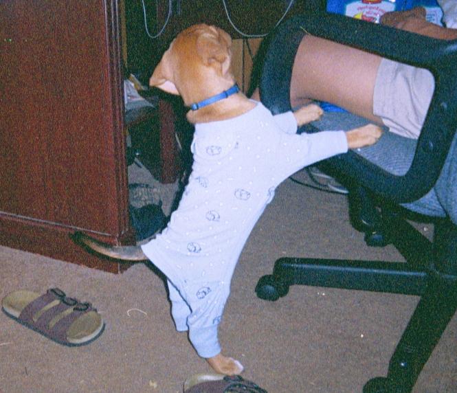 Rosie's Pajamas