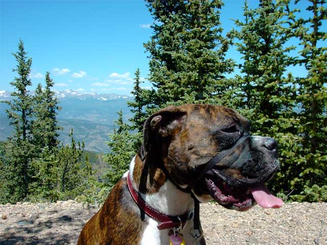 Rossi hiking