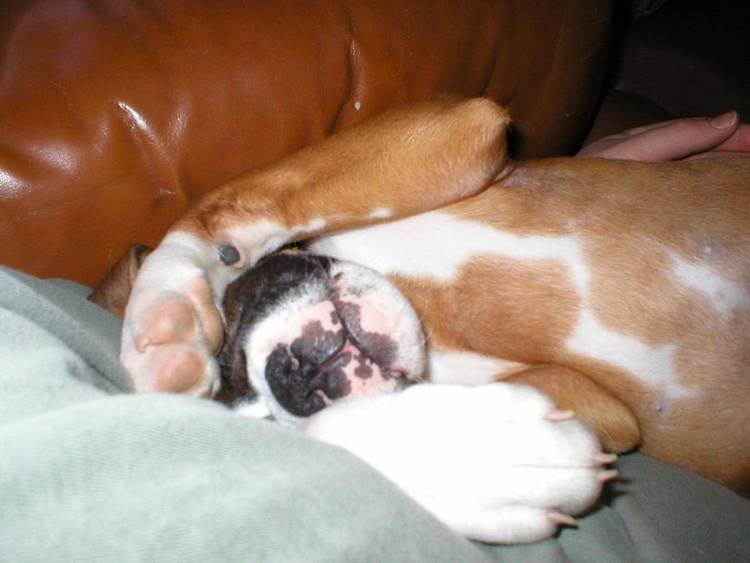 rough day