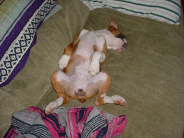 Rough Day