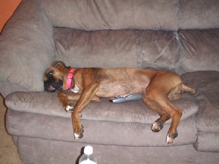 Rough Day