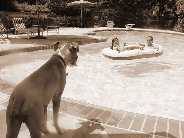 Rowdy girl watching...