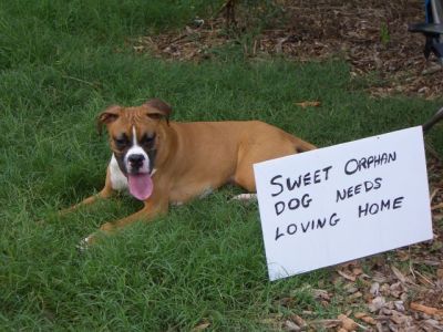 Rowdy wants a new home?
