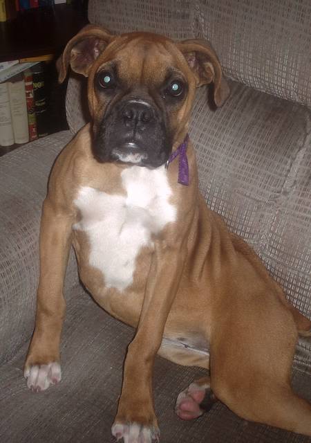 Roxanne