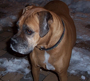 Roxi Feb 2009