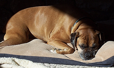 Roxi Jan 2009