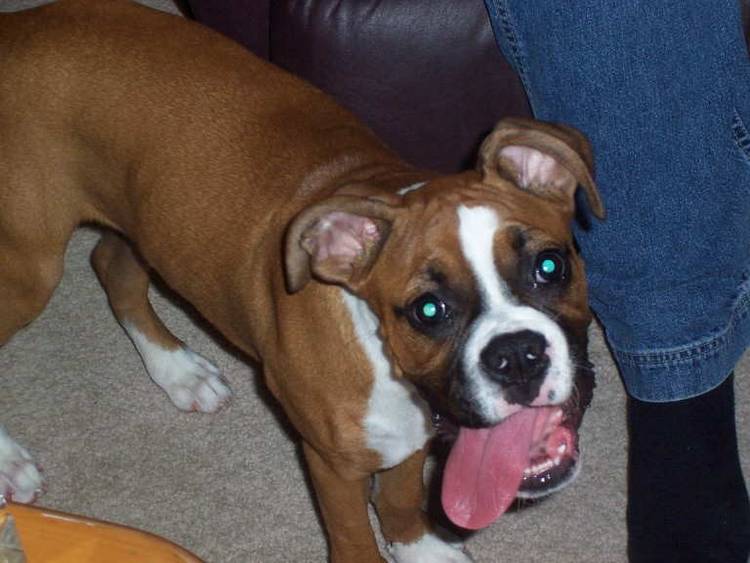 Roxi just hangin' out