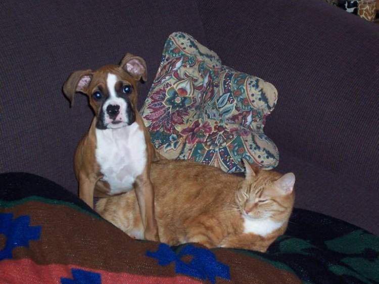 Roxi & Milo