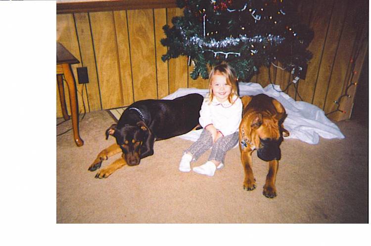 Roxie, Renee, and Duke xmas pic