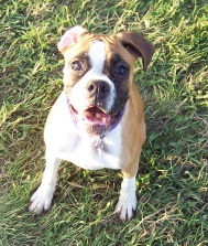 Roxie