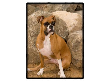 Roxie