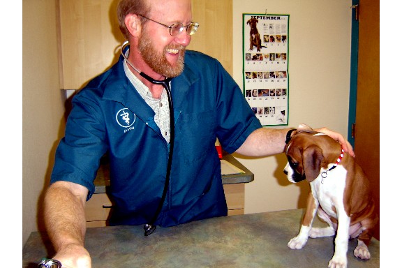 Roxie's 1st Vet Exam!
