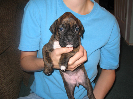 Roxy 4wks