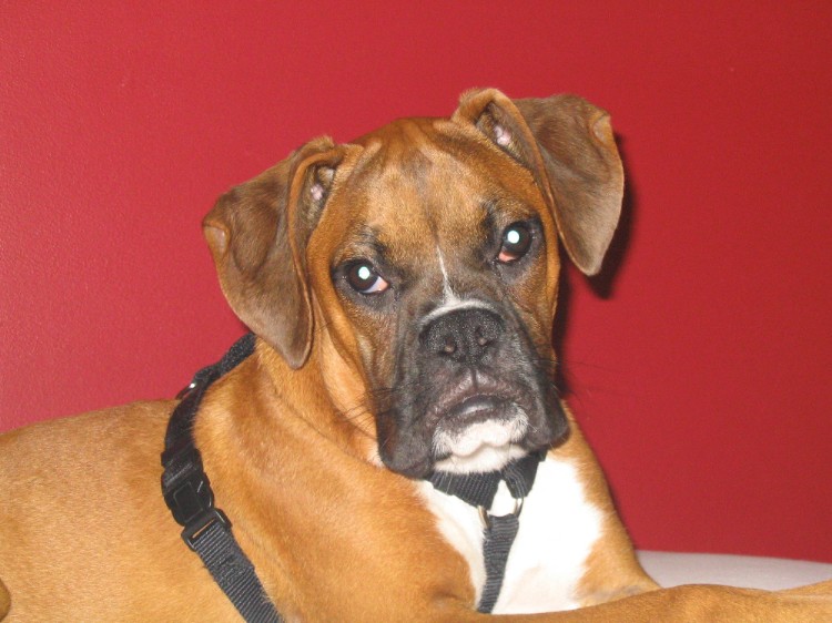 Roxy 6 mos
