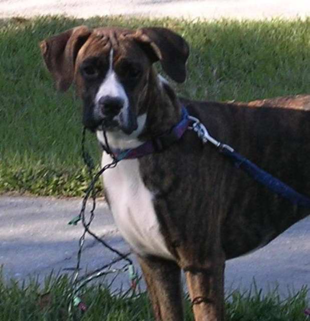 ROXY! 6months
