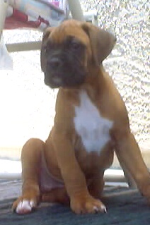 Roxy 6wks