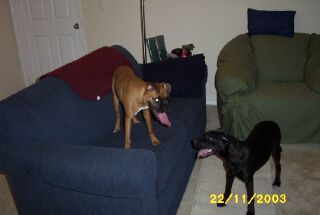 Roxy and her best friend