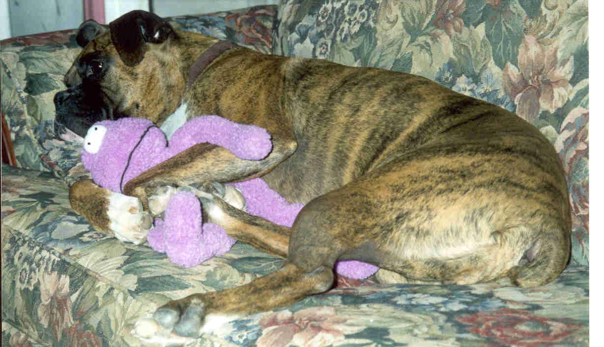 Roxy and her purple stuffie