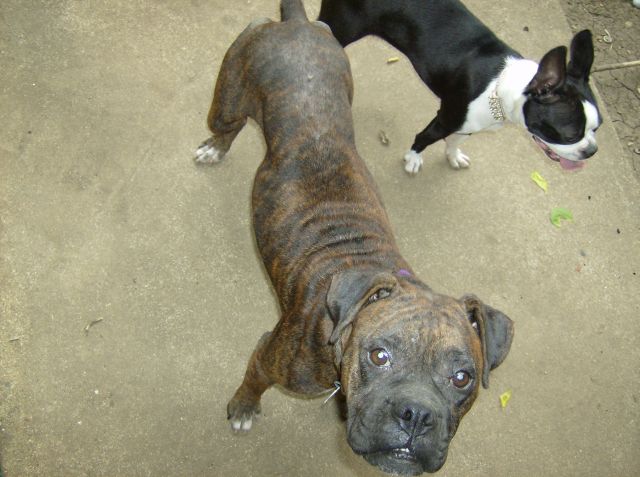 Roxy and Minnie