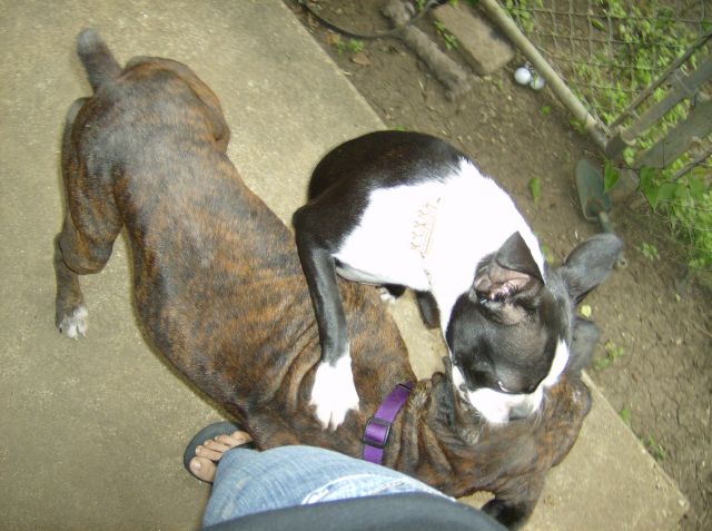 Roxy and Minnie