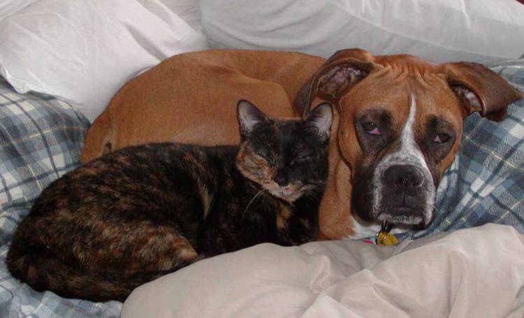 Roxy and Reese