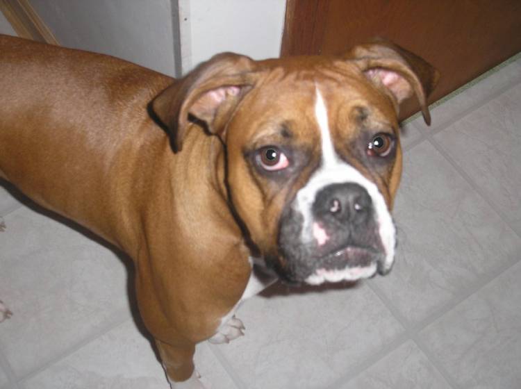 Roxy being a cutie!