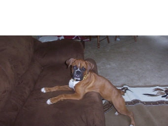 Roxy  being  sneaky