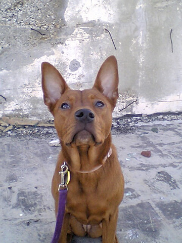 Roxy Girl!