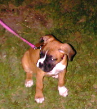 roxy in August 2010
