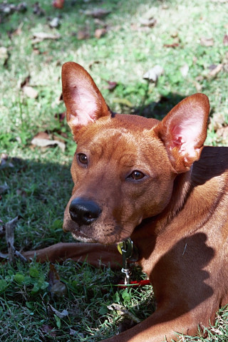 Roxy Lucille