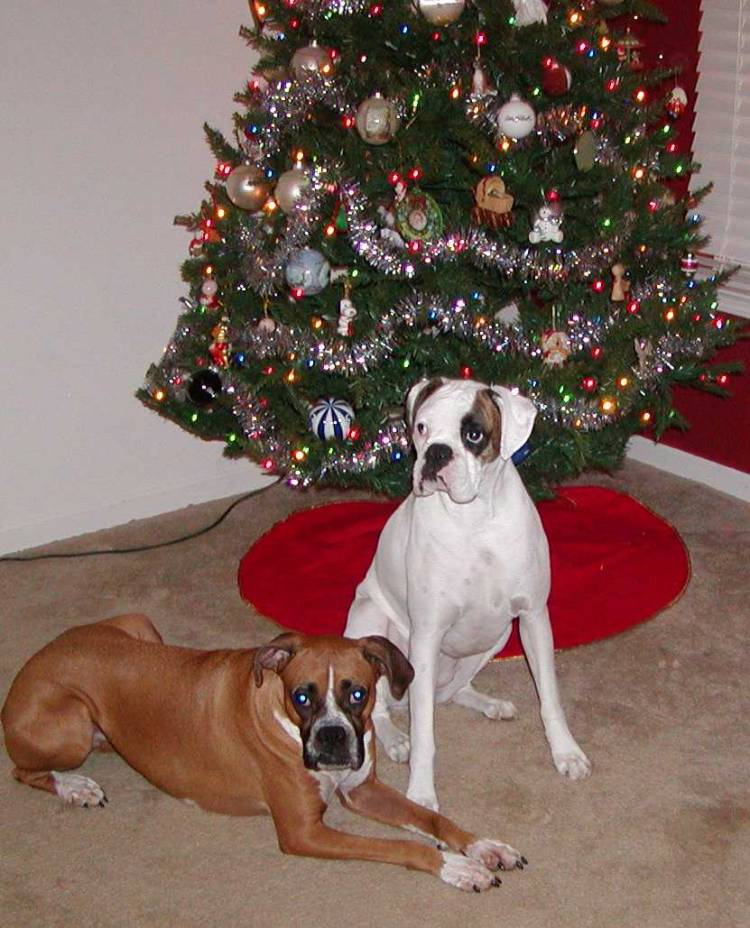Roxy & Payton