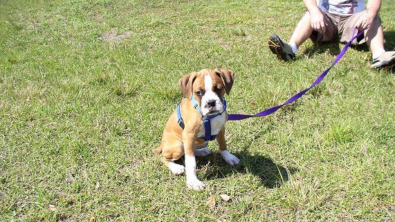 Roxy @ the park
