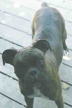 Roxy