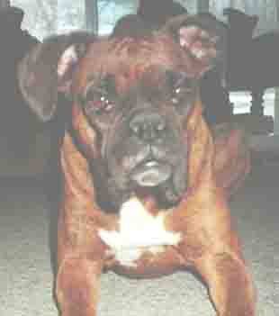 Roxy