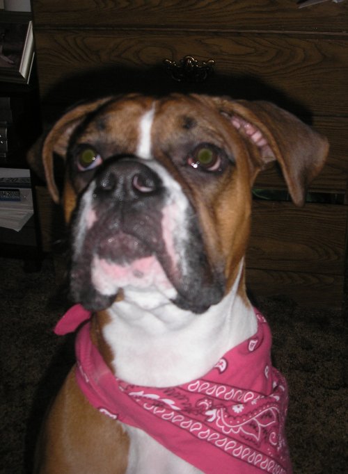 Roxy