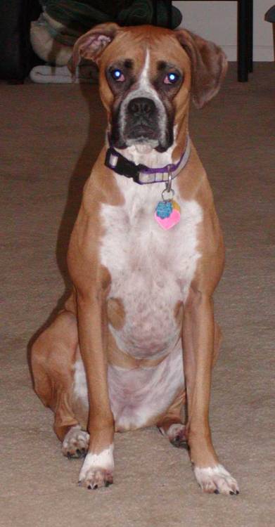 Roxy
