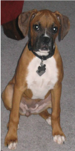 Roxy