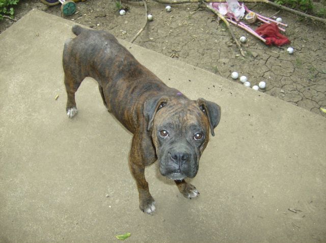 Roxy