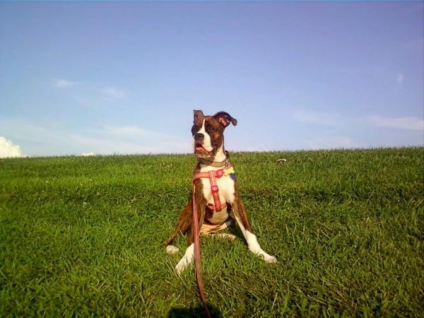 Roxy