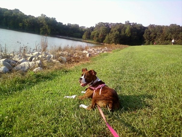 Roxy