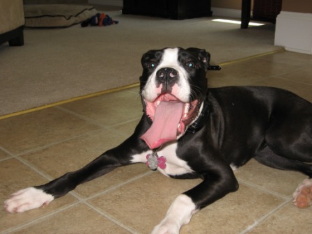 Roxy