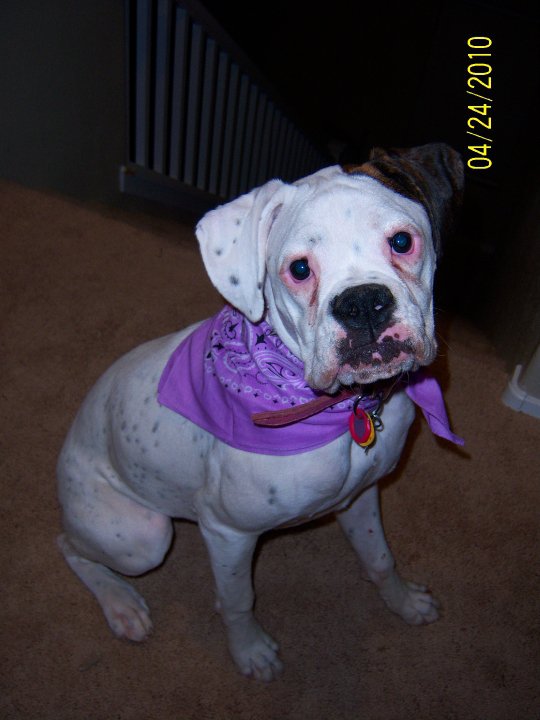 Roxy!