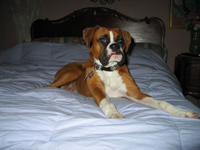 ROXY6