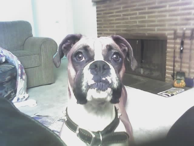 Roxy_4