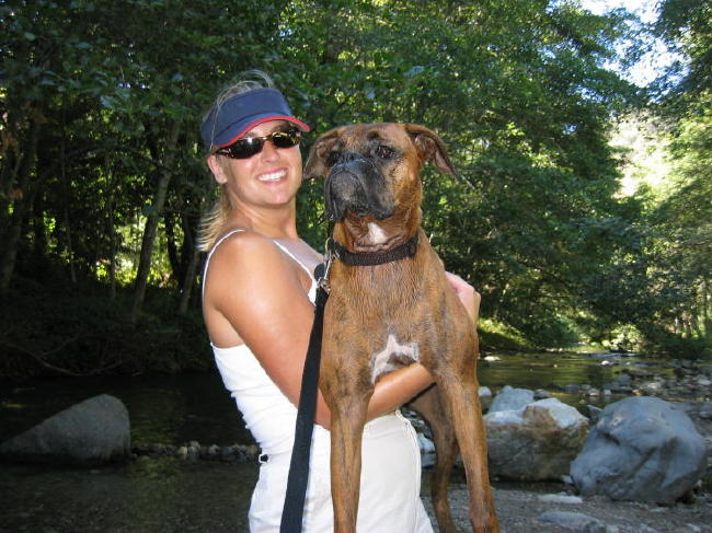 Roxy_Dog_021_2_1